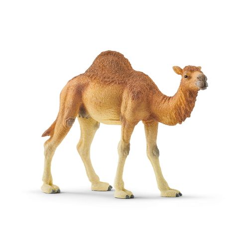 FIGURKA SCHLEICH WIELBŁĄD DROMADER 14832 na Arena.pl