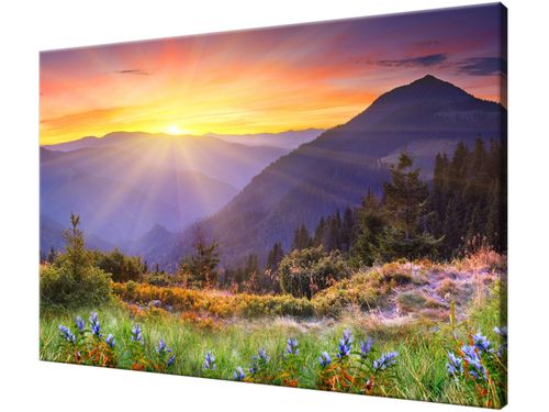 Obraz drukowany na płótnie canvas 120x80 + GRATIS na Arena.pl