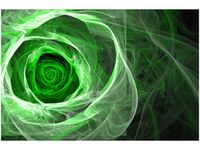 OBRAZ ZIELONA RÓŻA WE KTALACH KWIAT