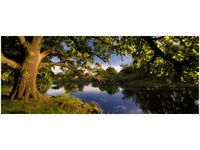 100X40CM DĄB STAROPOLSKI OBRAZ DREWNO