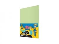 Papier Ksero A4 160G 50K It130 Zielony Jasny 7250