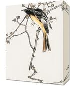 Obraz 30x40cm Siberian Blue-Tail, Kashu Japoński Vintage