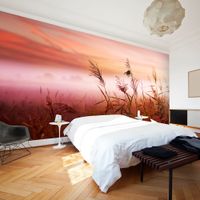 Fototapeta - Łąka o świcie 450x270