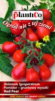 NASIONA Pomidor Gruntowy Red Pear Wysoki Koktajlowy 0,2g PLANTICO 405271