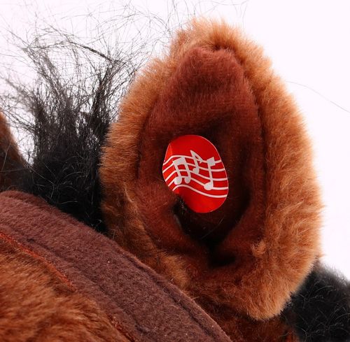 ND28_16353_ZDN_FDRK047B-DB_KOW Konik Kon Na Biegu na Arena.pl