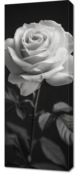 Obraz 40x100cm Płatki Róż zdjęcie 1