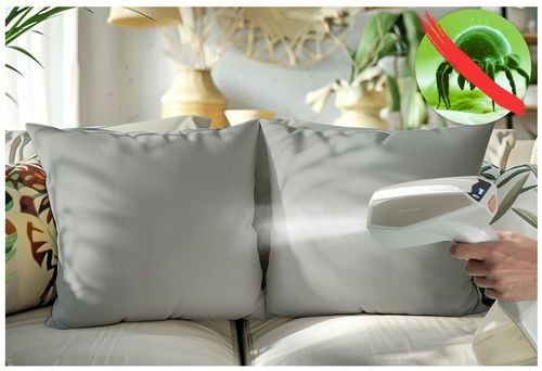 Parownica do ubrań 2000W Steamer Żelazko parowe regulacja pary 45g/min na Arena.pl