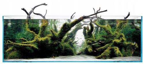 AQUA-PLANTER MINI zestaw CO2 z butlą 1,5kg/2,1l na Arena.pl