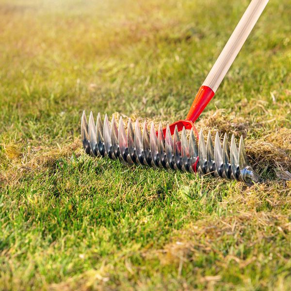 AERATOR DWUSTRONNY RĘCZNY Z TRZONEM WERTYKULATOR zdjęcie 6