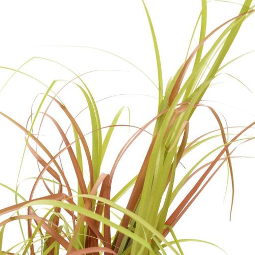 Sztuczna Trawa, 55 Cm na Arena.pl