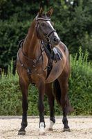 product-compare-58669195