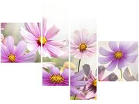 product-compare-58676201