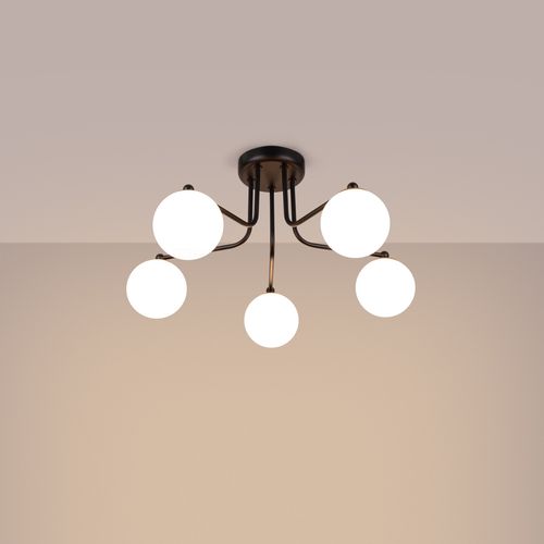 Żyrandol ASTRAL 5 czarny na Arena.pl