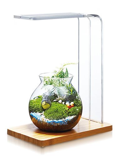 Chihiros Simple Woods LED  (Regulator Gratis) na Arena.pl