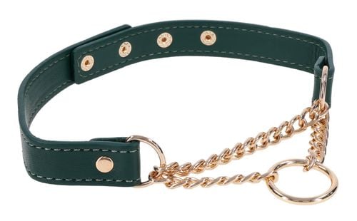 Day Collar na Arena.pl