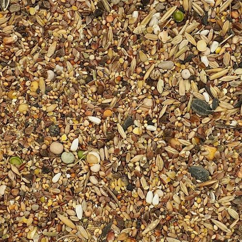 20kg Uniwersalna Karma dla Ptaków Ziarno Pokarm Zimowy Karmnik Champi na Arena.pl
