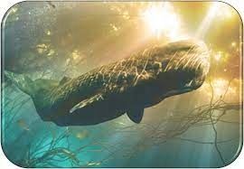 AMBROXAN 10g Molecule 02 Proszek zdjęcie 2