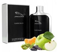 WODA TOALETOWA PERFUMY MESKIE JAGUAR CLASSIC KLASYCZNE DRZEWNE ORYGYNINALNE
