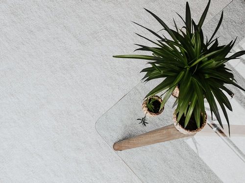 Dywan 200 x 300 cm biały DEMRE na Arena.pl