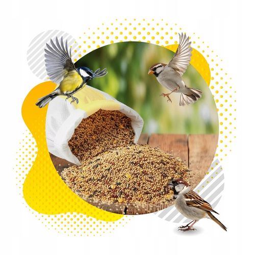 KARMA DLA PTAKÓW 20kg ZE SŁONECZNIK DROBNE ZIARNO DO KARMNIK + PLAKAT na Arena.pl