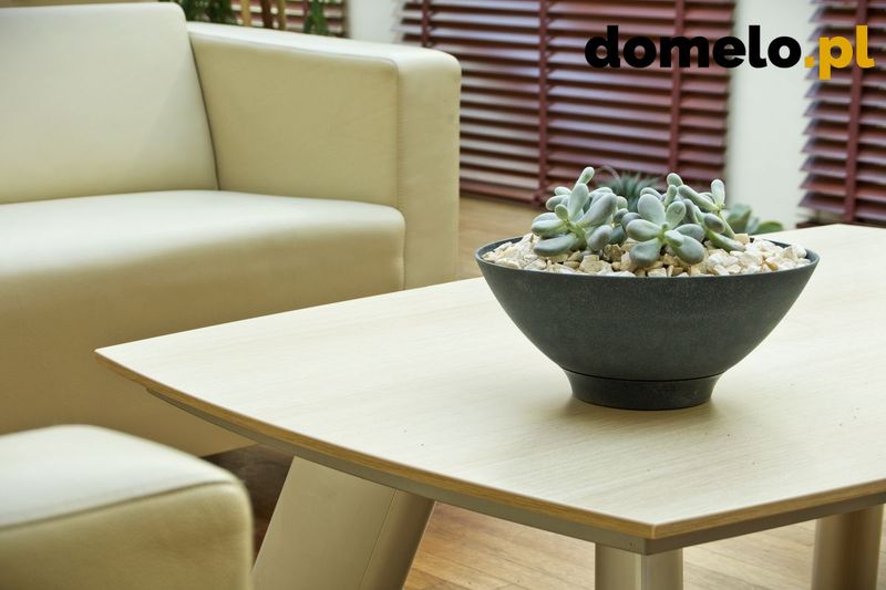 DONICZKA PLANET 290 A4 zdjęcie 5