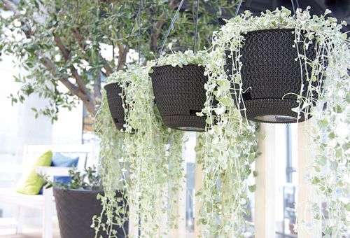 Doniczka wisząca Splofy DSPW230 | Szary kamienny na Arena.pl