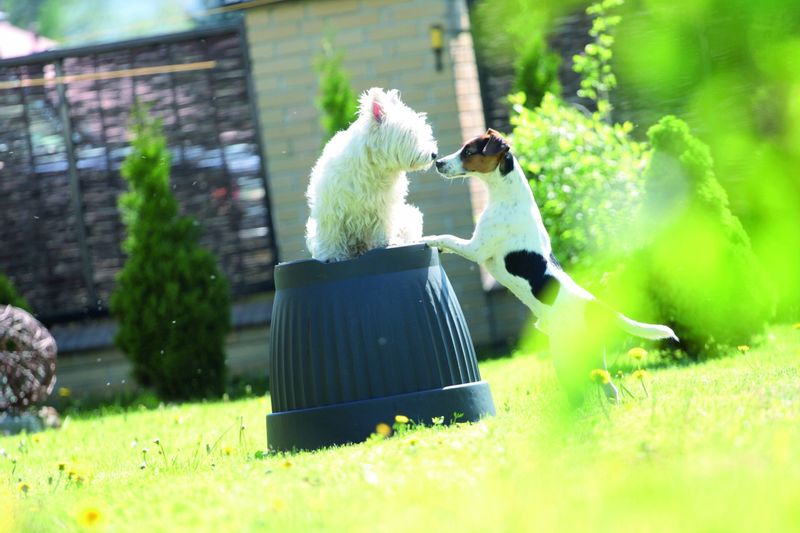 Doniczka klasyczna Terra DCE25 z podstawką | Terakota, Wymiary 25x19.5 cm, Prosperplast zdjęcie 4