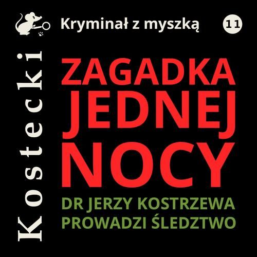 (mp3) Zagadka jednej nocy zdjęcie 1
