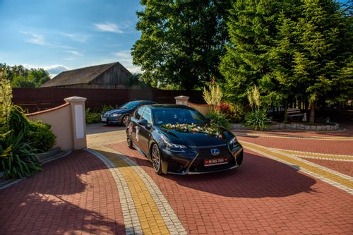 Tablice rejestracyjne ślubne żółte na Arena.pl