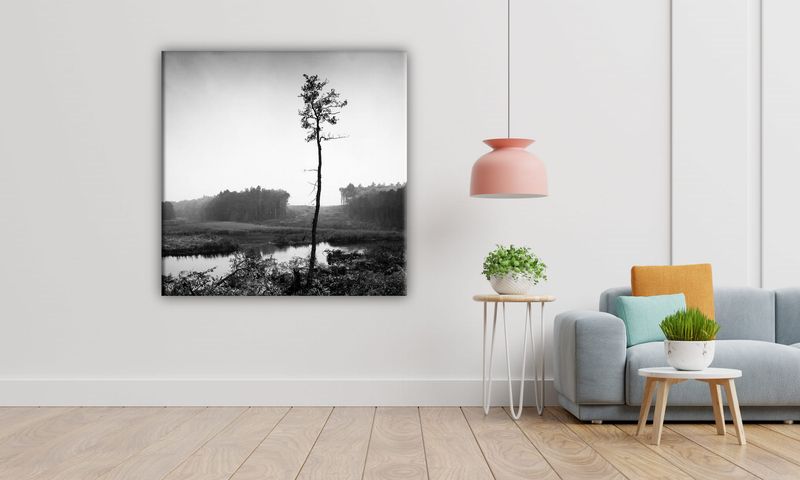 OBRAZ NA PŁÓTNIE 093 Sosna 50x50cm zdjęcie 5