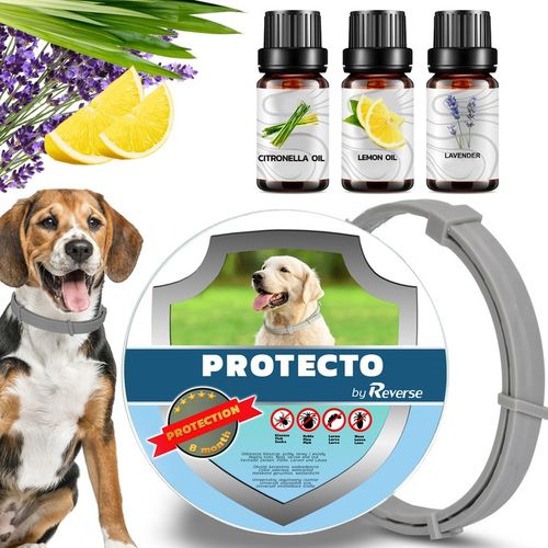 OBROŻA DLA PSA NA PCHŁY KLESZCZE 8 MSC UNIWERSALNA na Arena.pl