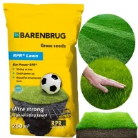 Trawa sportowa BARENBRUG RPR LAWN odporna na deptanie 5 KG