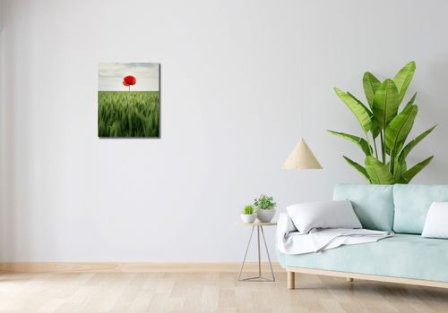 Obraz 40x50cm Samotny Mak na Polu na Arena.pl