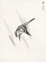 Plakat 15x20cm  Cuckoo, Kashu Japoński Vintage do Salonu