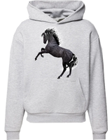 Bluza z kapturem Konie