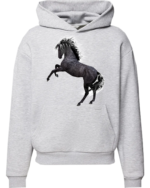 Bluza z kapturem Konie zdjęcie 1
