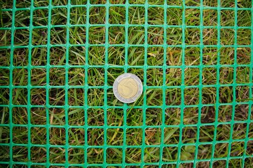 Siatka Rabatowa Dla Drobiu 1,2x10m Ochronna Na Drzewka Rabaty Zielona Ogród na Arena.pl