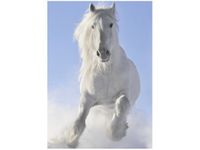 50X70CM BLACK&WHITE OBRAZ PION ŚCIAN