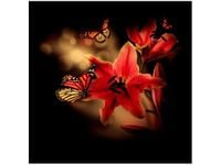 50X50CM MOTYLE LILIA OBRAZ