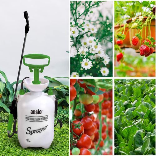 Opryskiwacz ciśnieniowy 3L ANSIO na Arena.pl