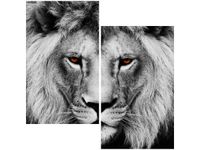 60X60CM LWIE SPOJRZENIE DWU OBRAZ ŚCIAN