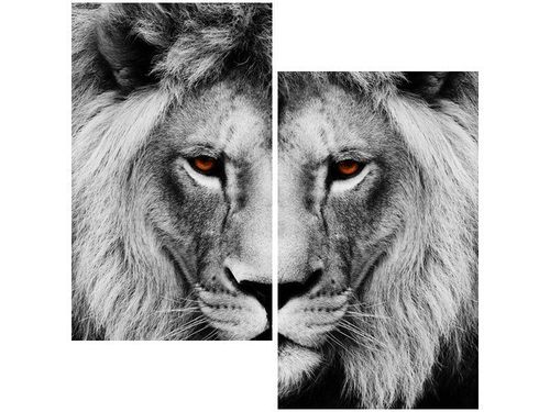 60X60CM LWIE SPOJRZENIE DWU OBRAZ ŚCIAN na Arena.pl
