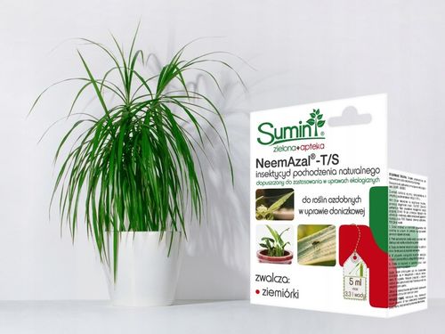 NEEMAZAL T/S PREPARAT NA ZIEMIÓRKI inne szkodniki, oprysk roślin ozdobnych na Arena.pl