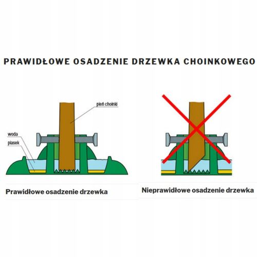 Stojak choinkowy XS duży do 3m z odżywką do choinek ciętych na Arena.pl