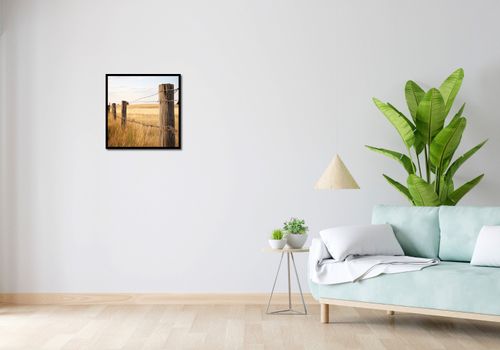 Plakat 50x50cm Płot na Polu na Arena.pl