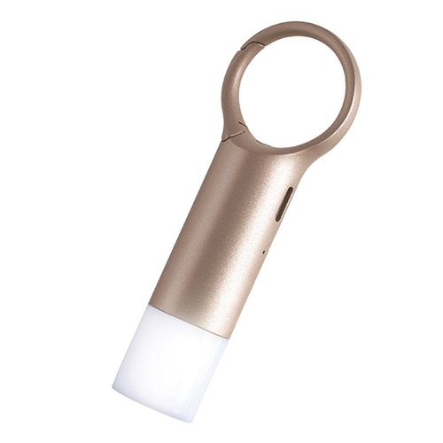 lexon nomaday flash brelok ledzłoty/gold ll137d na Arena.pl