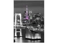 50X70CM NOCNY WIDOK OBRAZ PION ŚCIAN