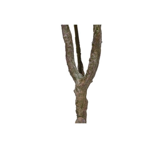 Drzewo Home ESPRIT Polietylen 80 x 80 x 150 cm na Arena.pl