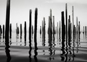 Plakat 35x25cm Refleksje Nad Wodą