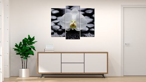 Obraz Na Płótnie 90X70 Biały Storczyk na Arena.pl